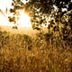 Illustration for article titled 10 Stunning Shots Of The Solstice